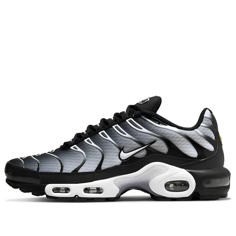 Nike Air Max Plus TN Black Silver White u kombinaciji crne i sive boje — bočni pogled